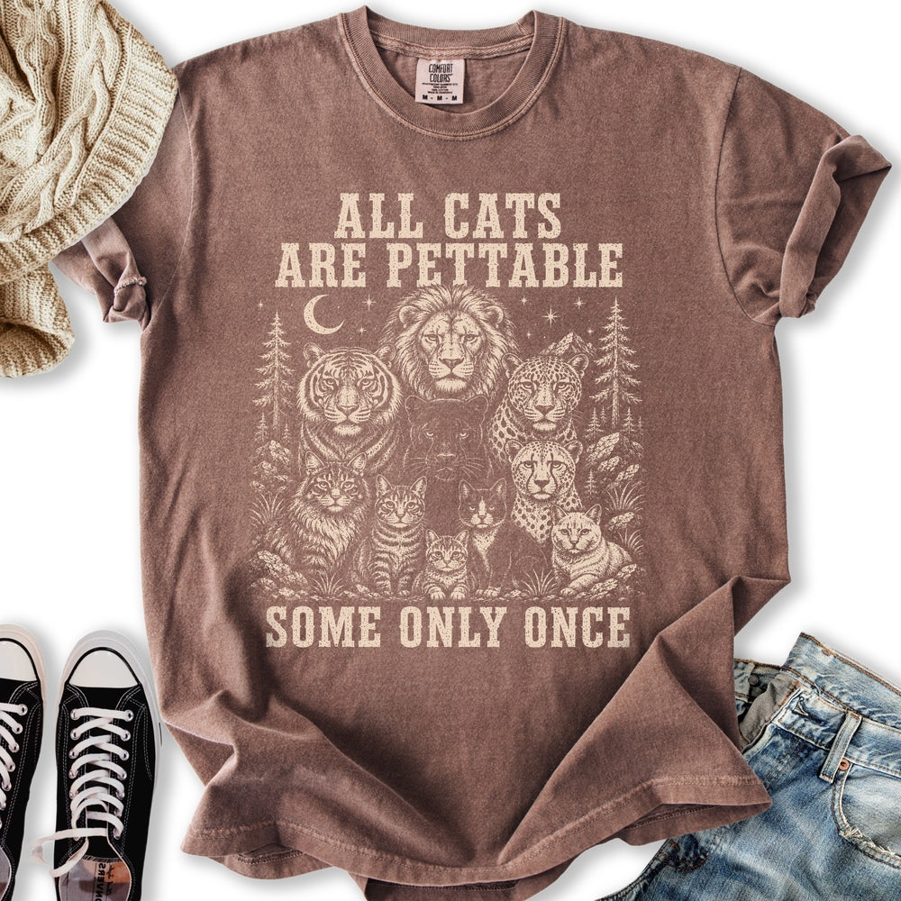 All Cats Are Pettable II Relaxed Tee