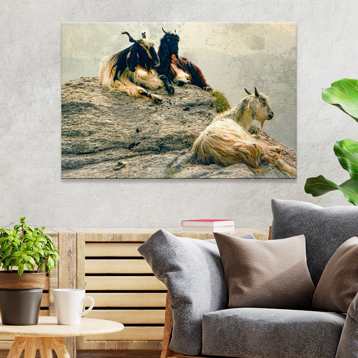 Pashmina Goats On Rocky Mountain Canvas Wall Art