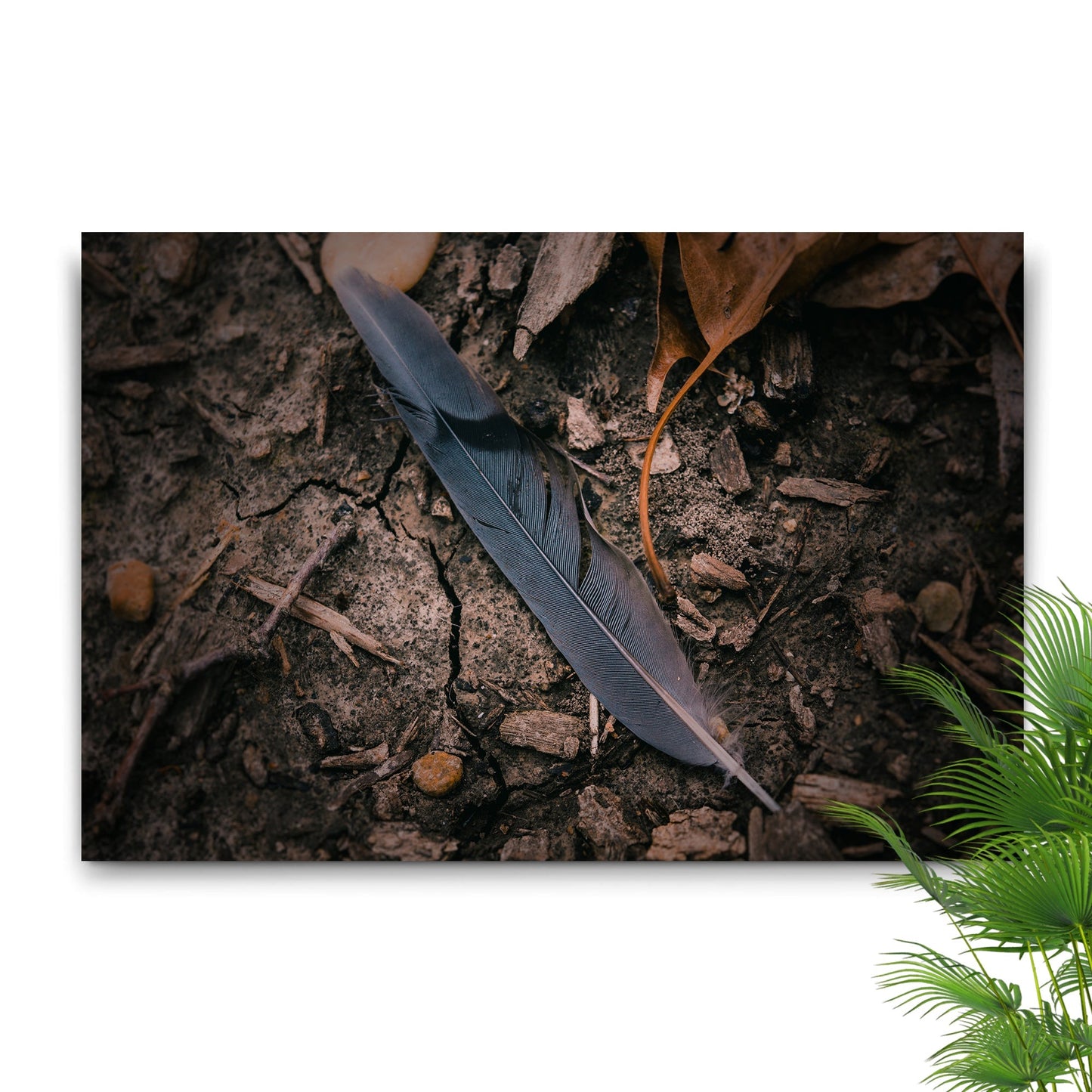 Decor Elements Feather Dark Canvas Wall Art