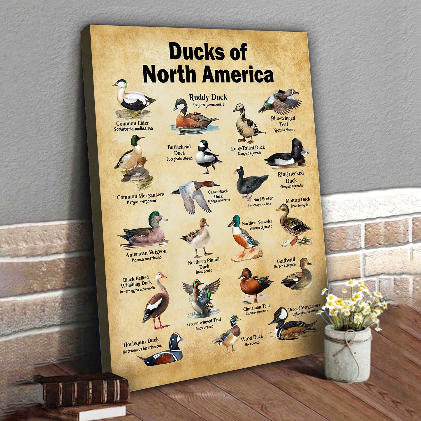 Ducks of North America Canvas – Educational Wall Art for Hunters & Nature Lovers