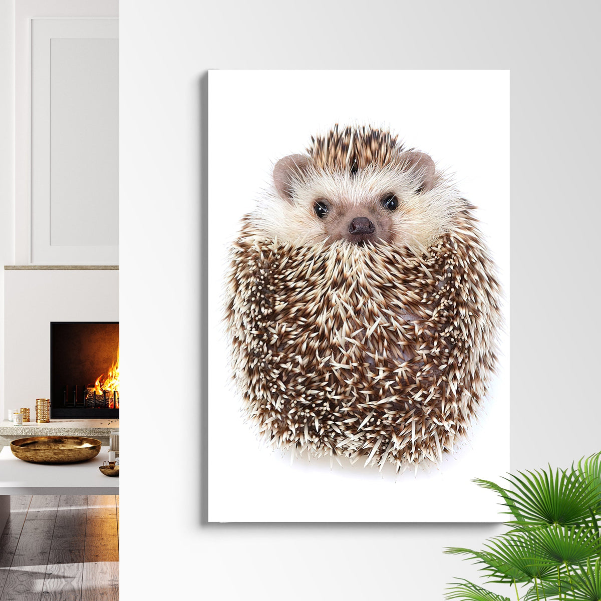 Animals Forest Hedgehog Curled Up Canvas Wall Art