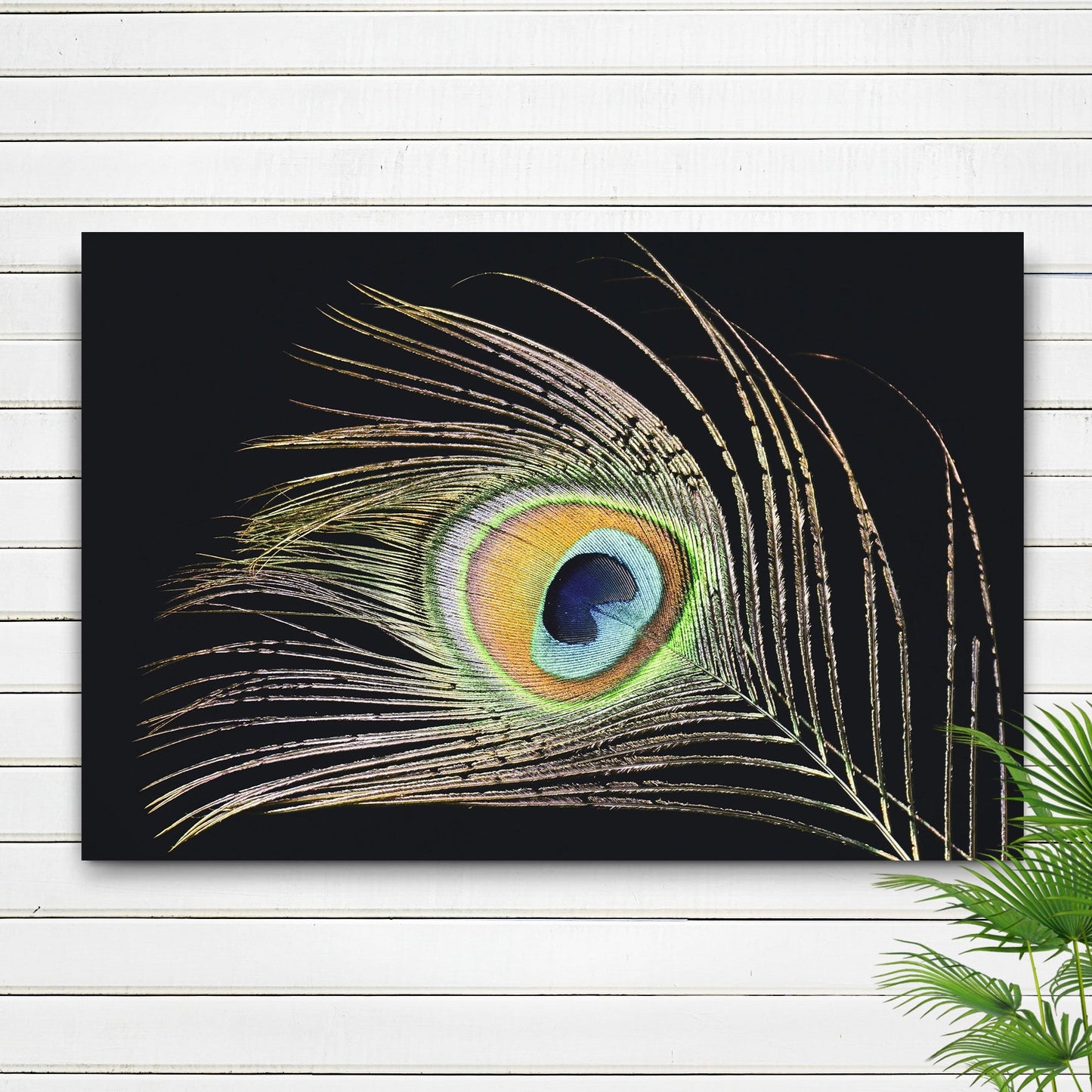 Decor Elements Feather Peacock Canvas Wall Art