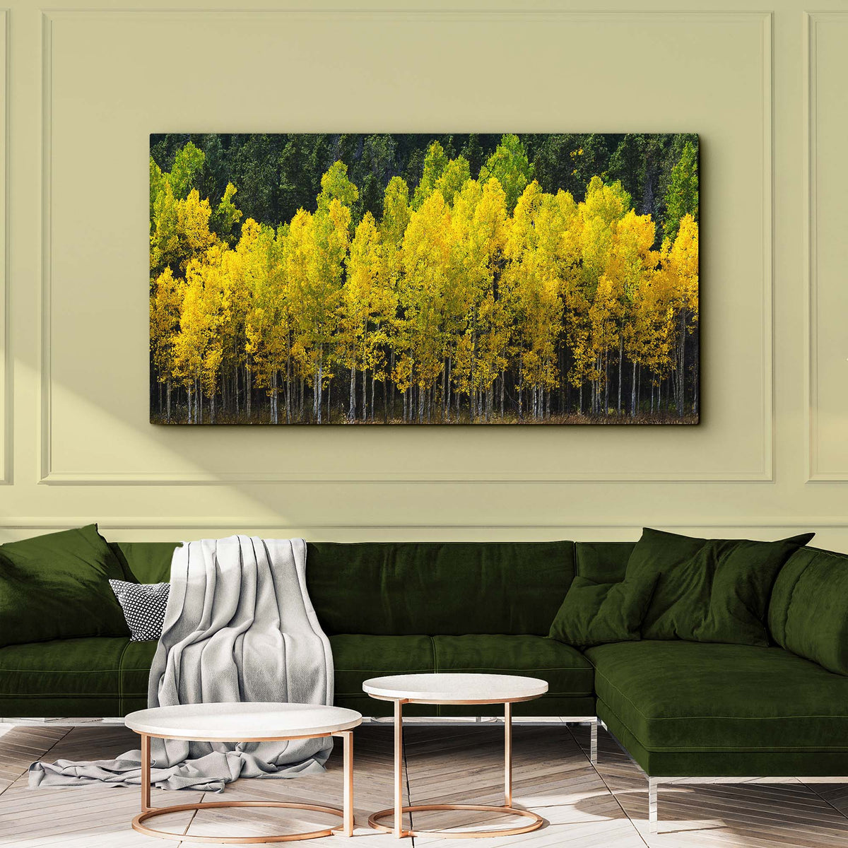 Colorado Aspen Grove Canvas Wall Art