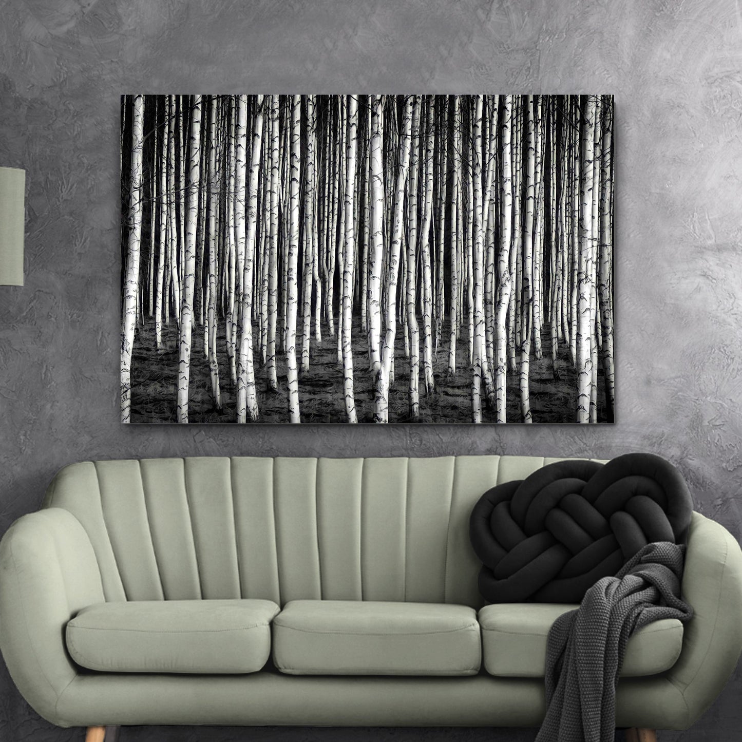 Monochrome Birch Trees Canvas Wall Art