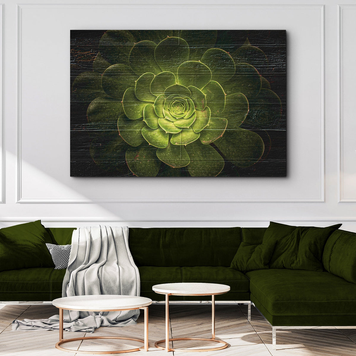 Succulent In Macro Lens Canvas Wall Art