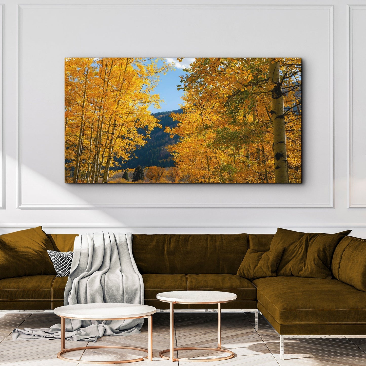 Colorado Aspen Forest Canvas Wall Art