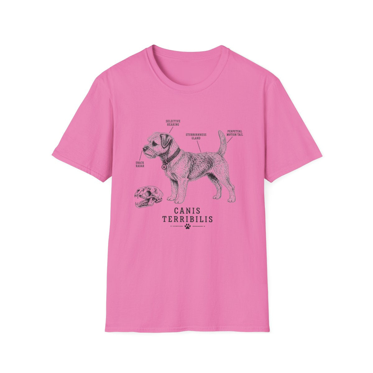 Anatomy Of A Border Terrier Tee