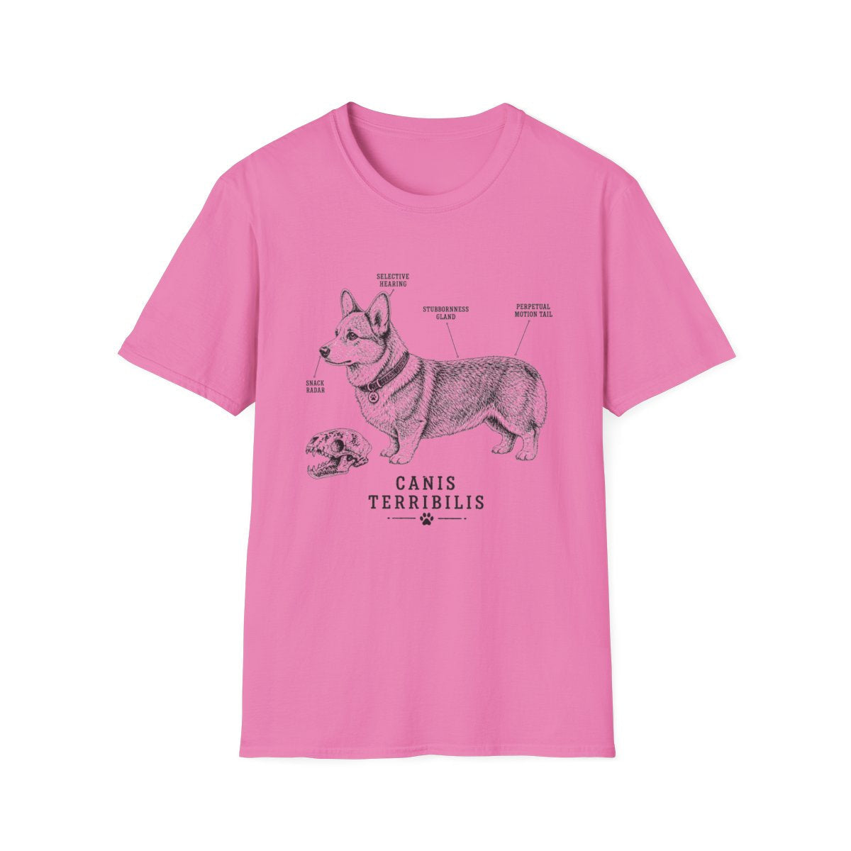 Anatomy Of A Corgi Tee