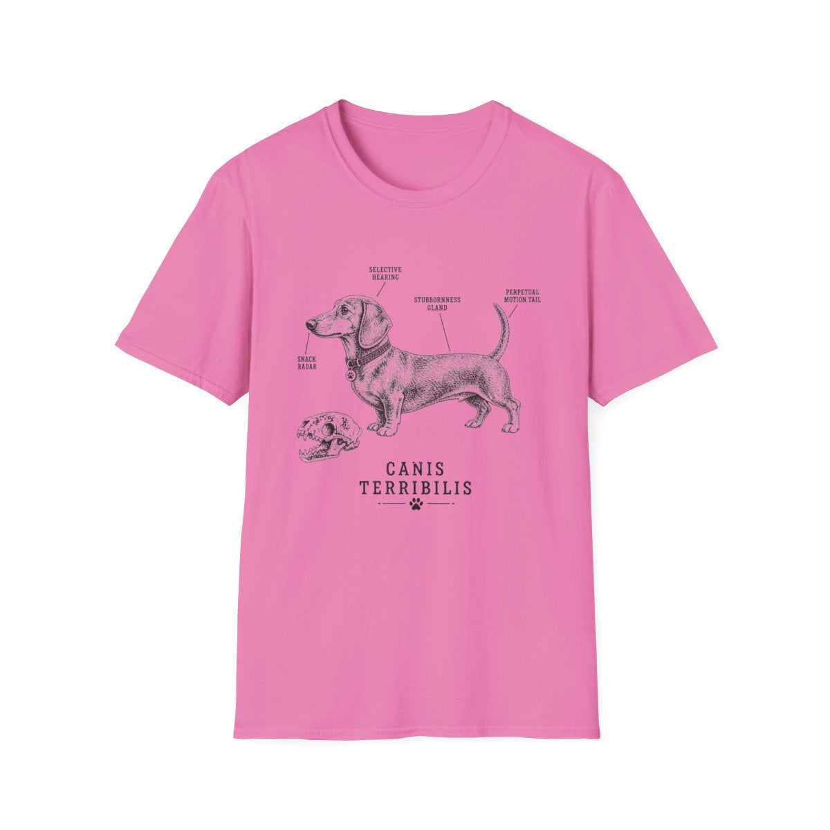 Anatomy Of A Dachshund Tee