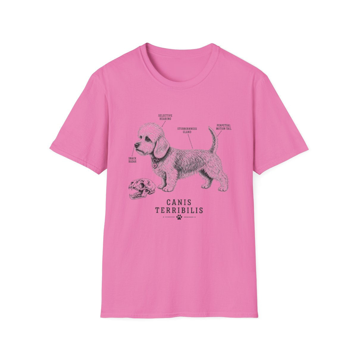 Anatomy Of A Dandie Dinmont Terrier Tee