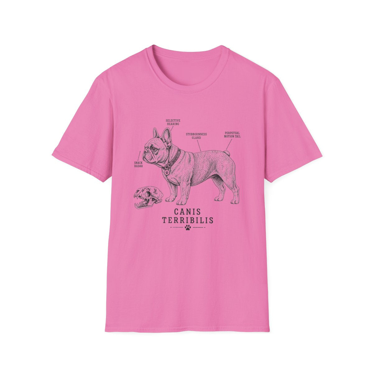 Anatomy Of A French Bulldog Tee
