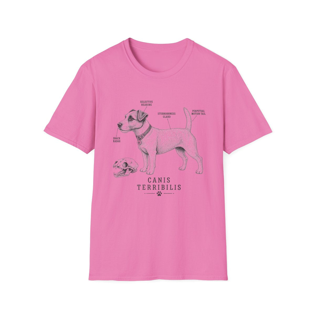 Anatomy Of A Jack Russell Terrier Tee
