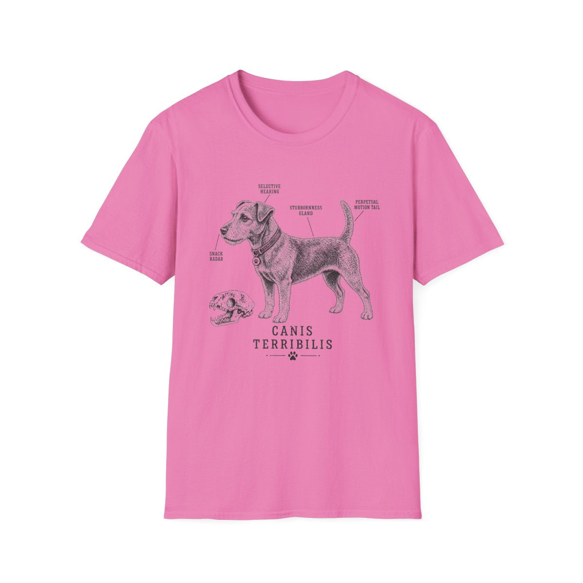 Anatomy Of A Patterdale Terrier Tee