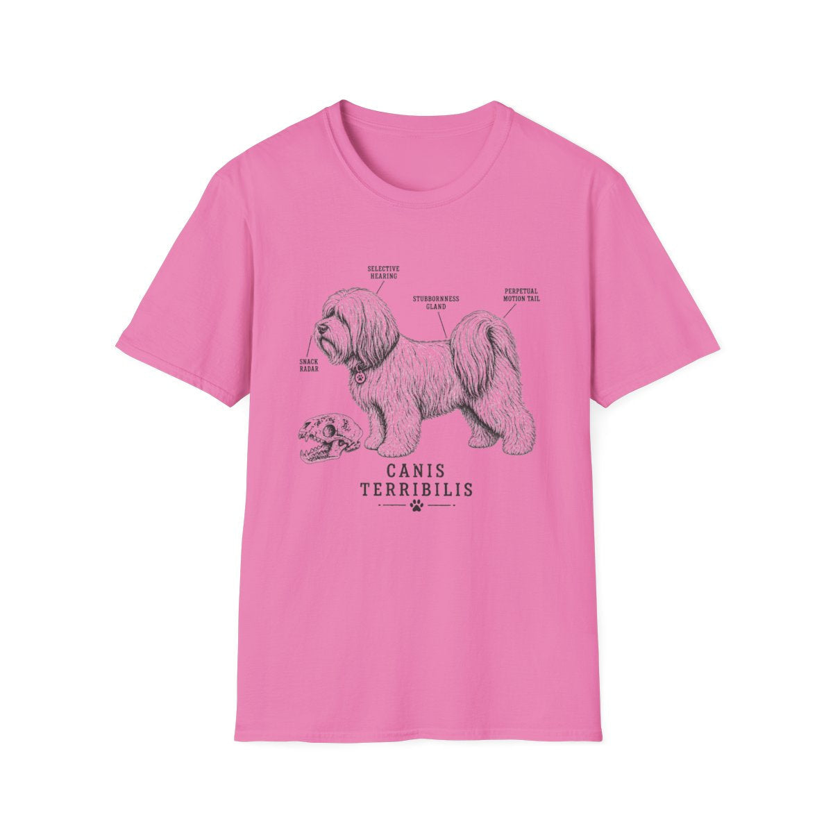 Anatomy Of A Tibetan Terrier Tee