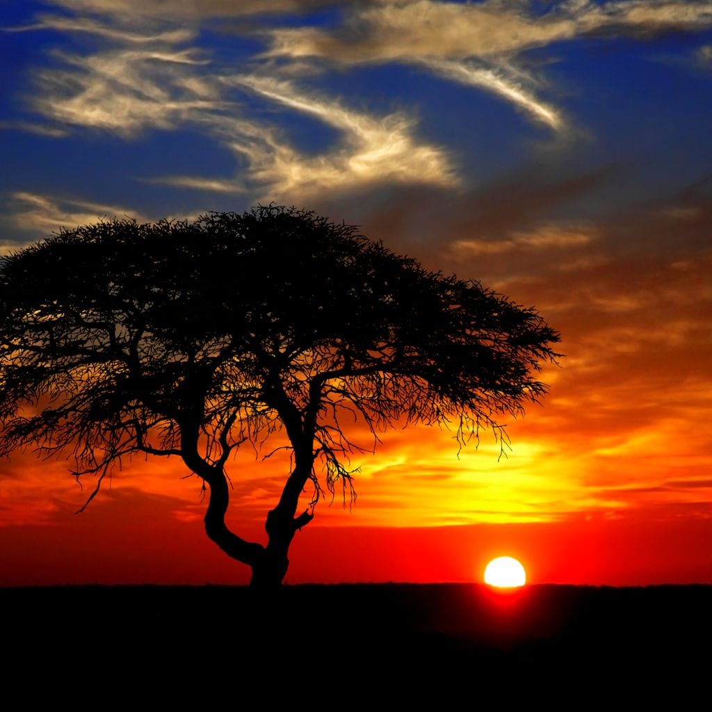 African Landscape Sunset Canvas Wall Art