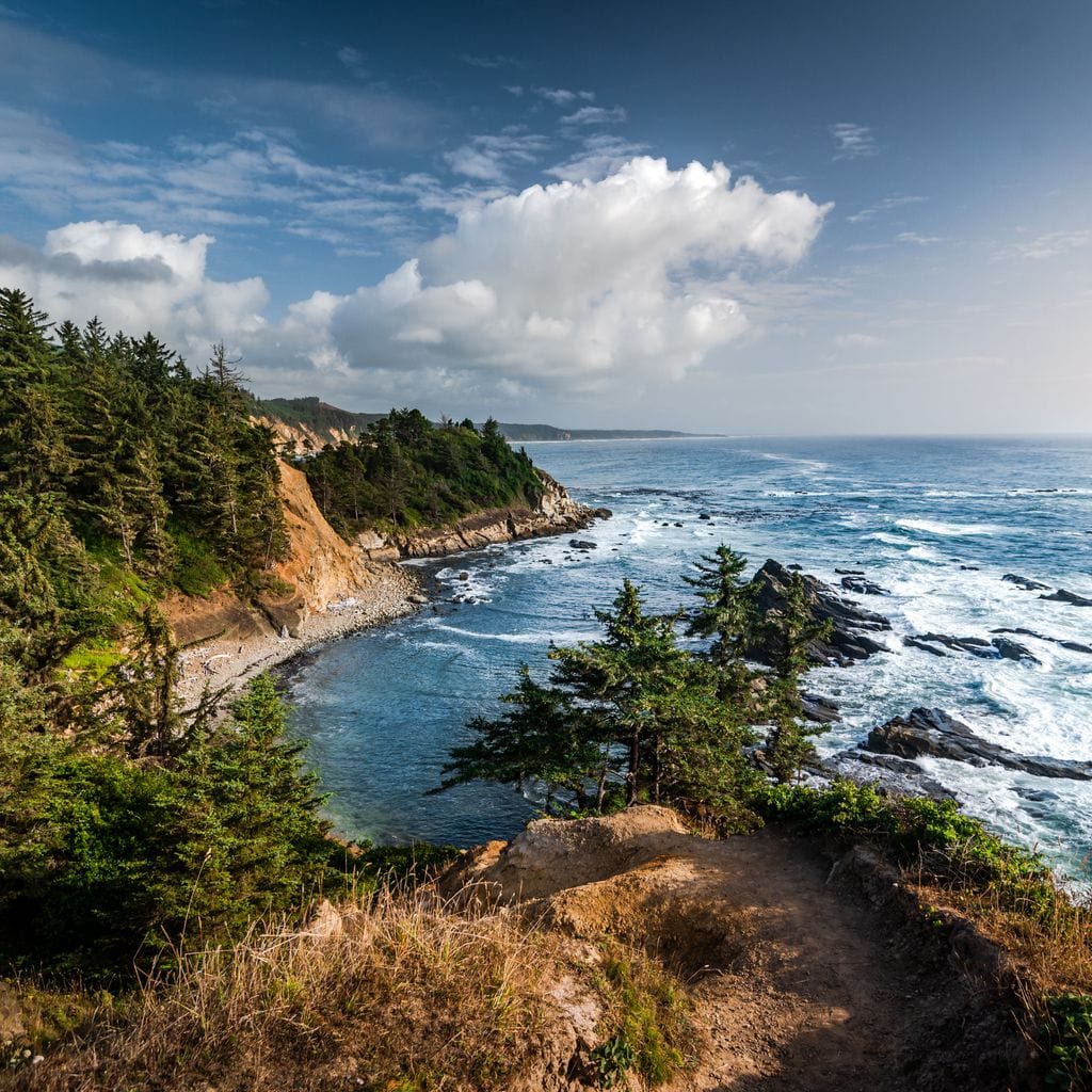 Blue Coast Canvas Wall Art