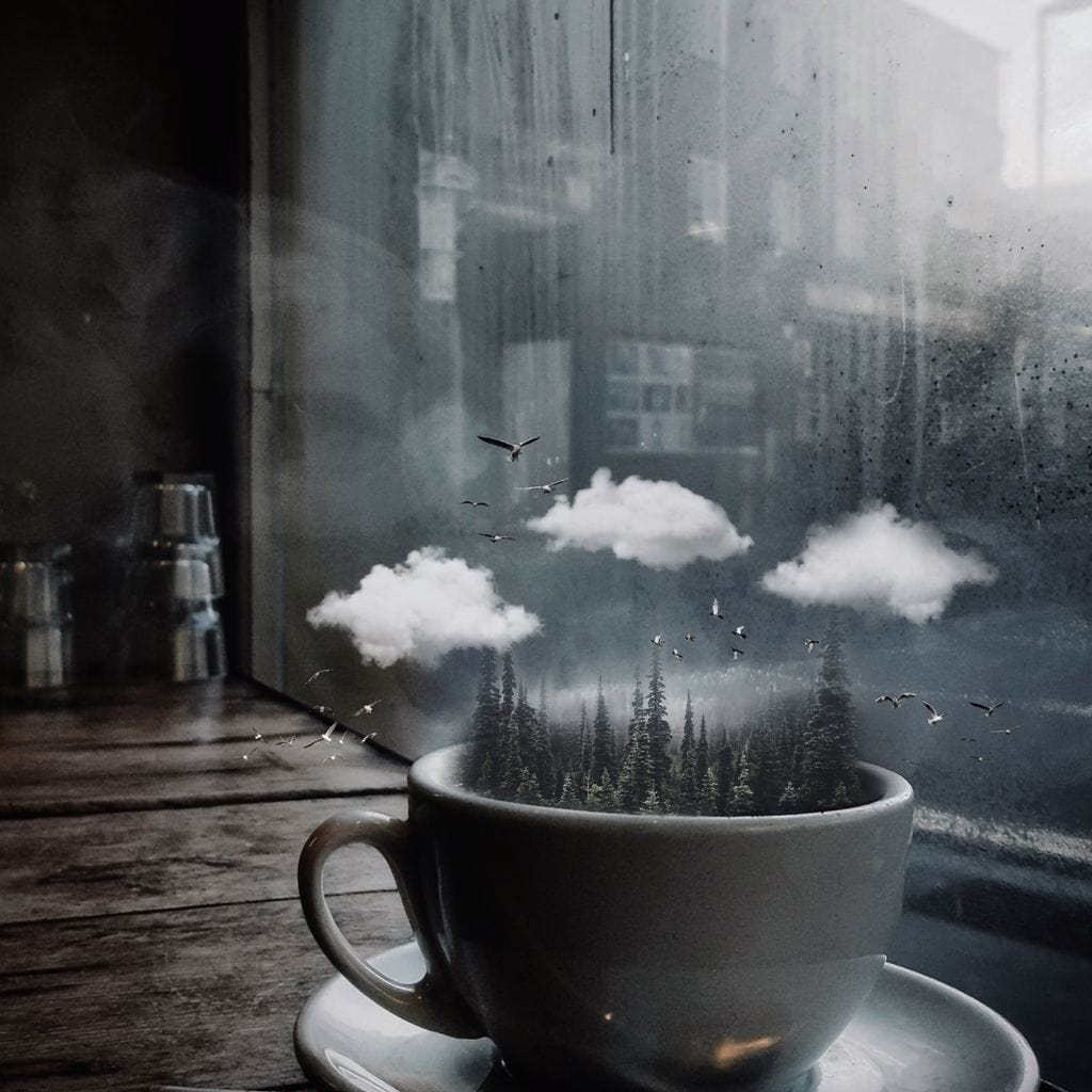 Cup Forest Canvas Wall Art