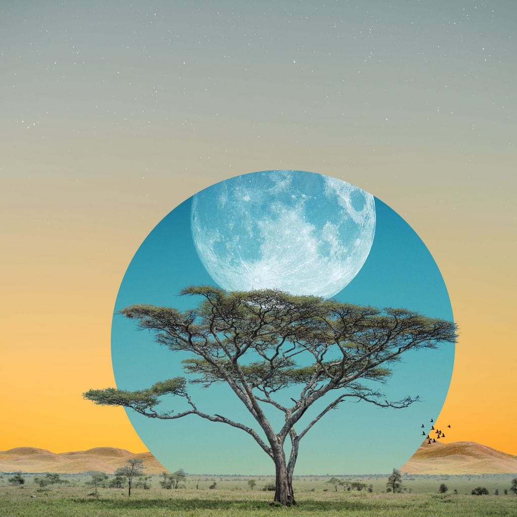Moon Tree Canvas Wall Art