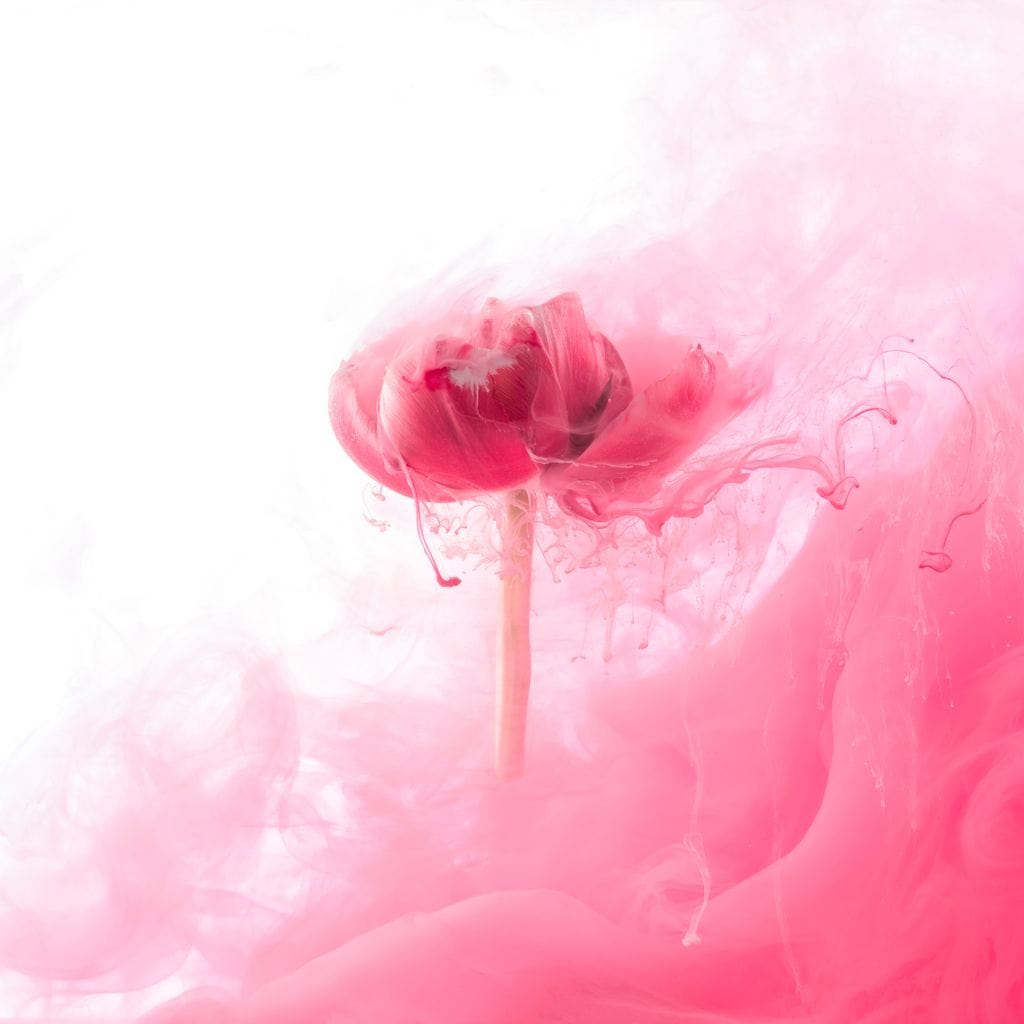 Motion of Love Canvas Wall Art