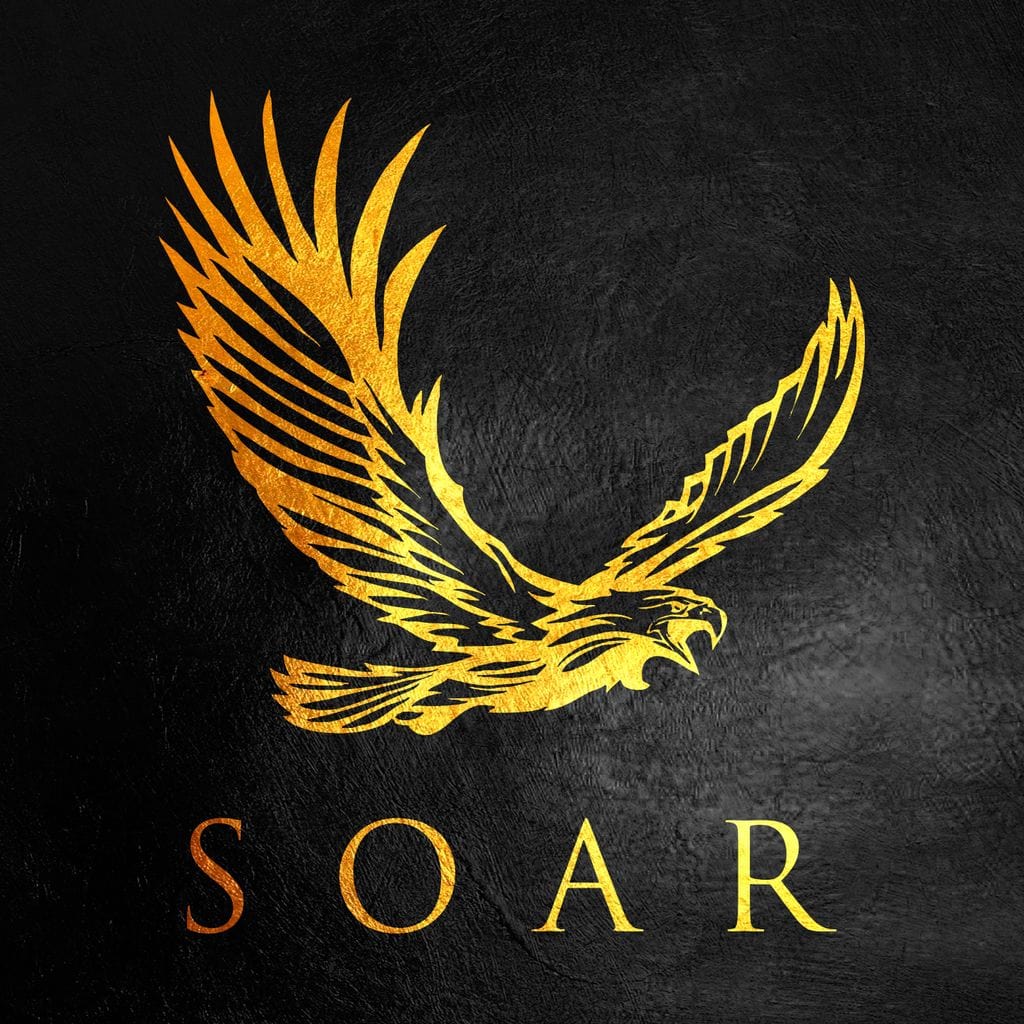 Soar Canvas Wall Art