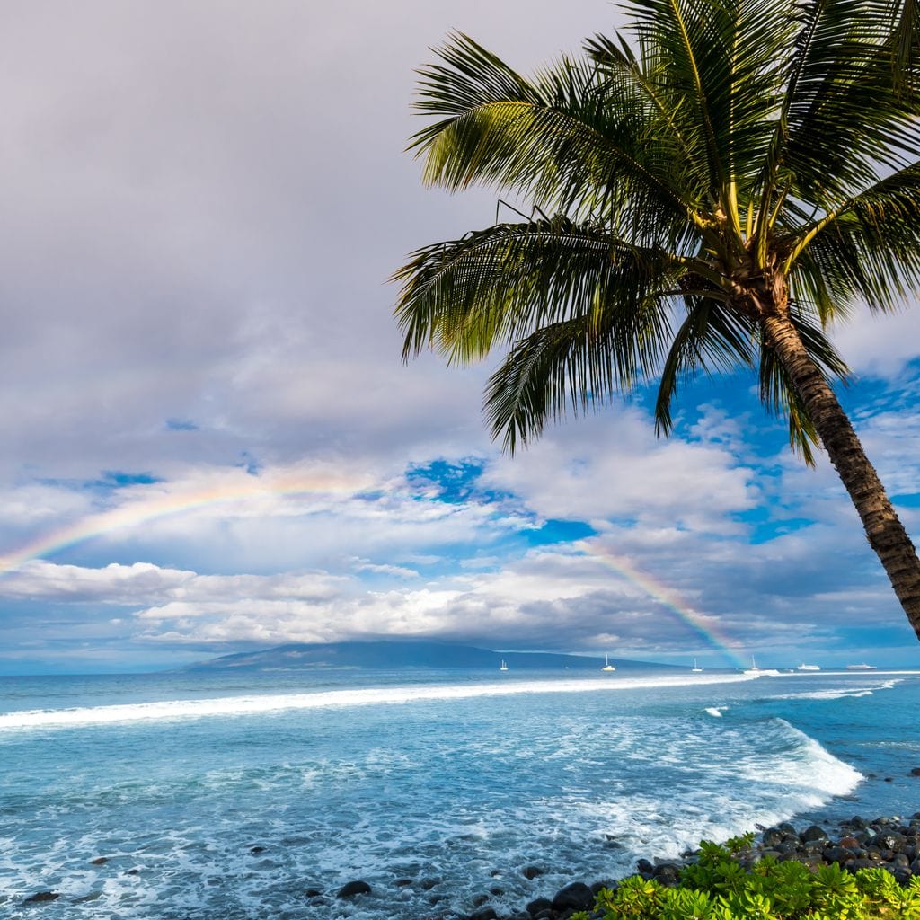 Hawaiian Landscape Canvas Wall Art
