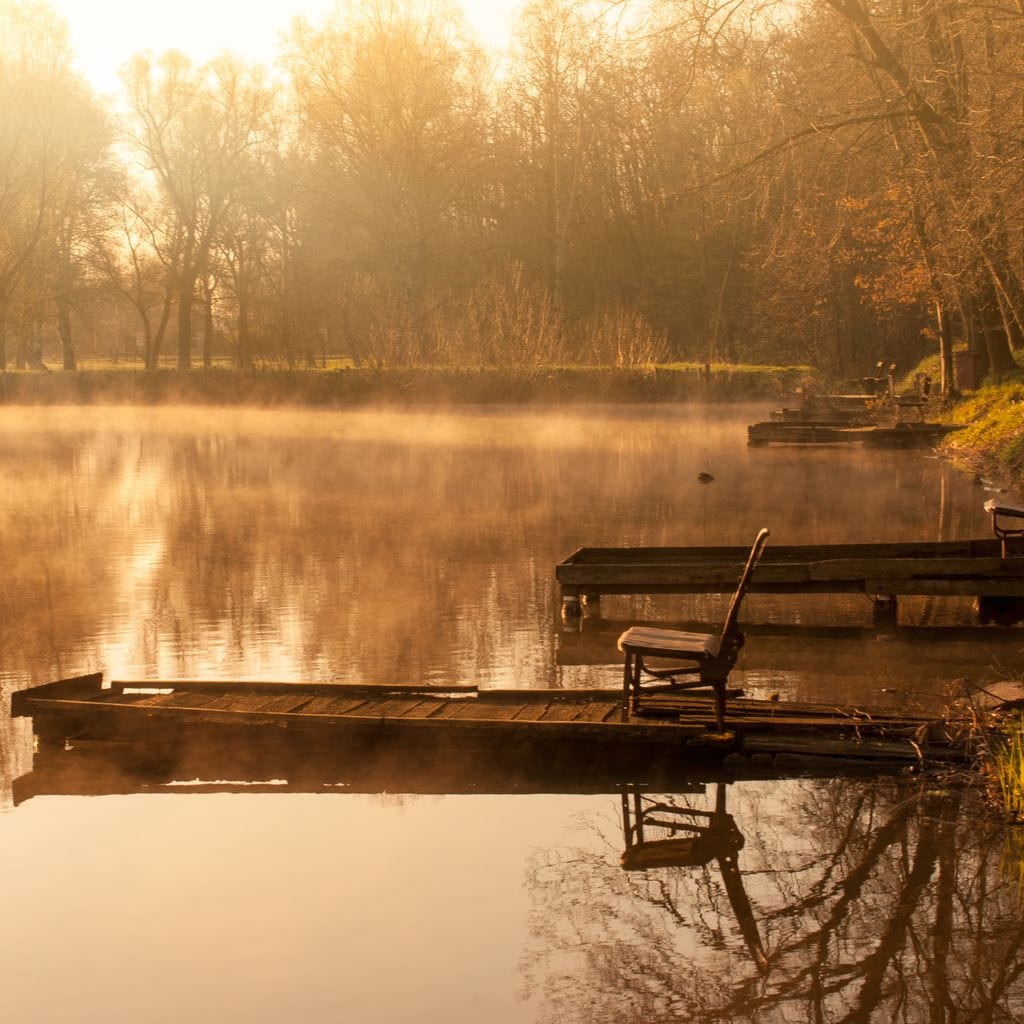 Relaxing Lake Canvas Wall Art