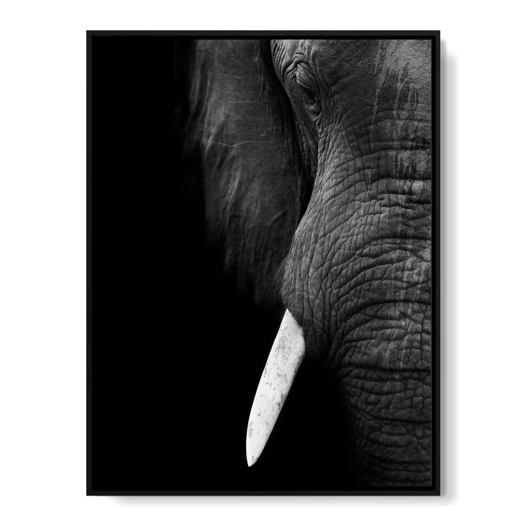 Black and White Elephant Close up Canvas Wall Art