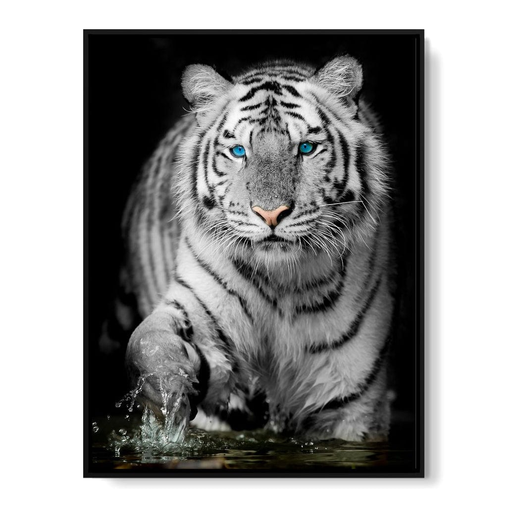Blue Eyed Snow Tiger Canvas Wall Art