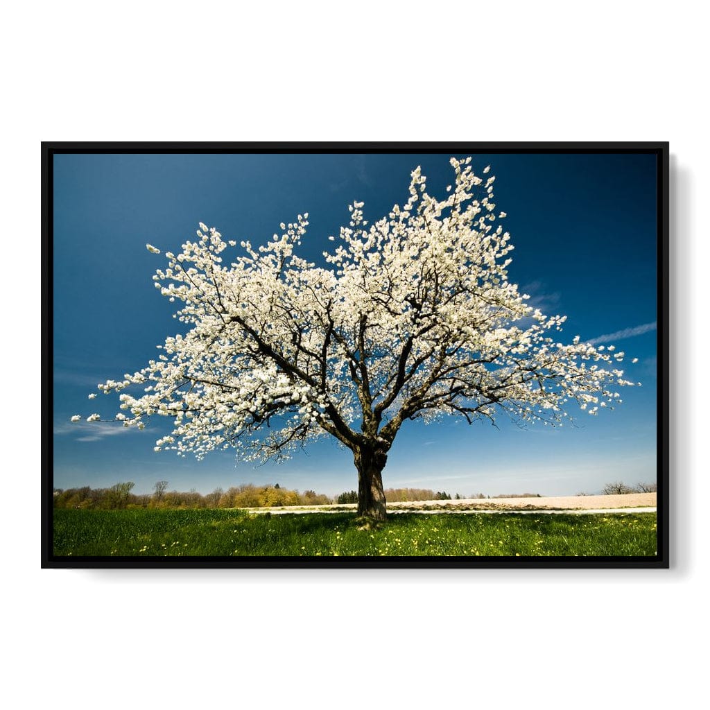 White Tree Canvas Wall Art