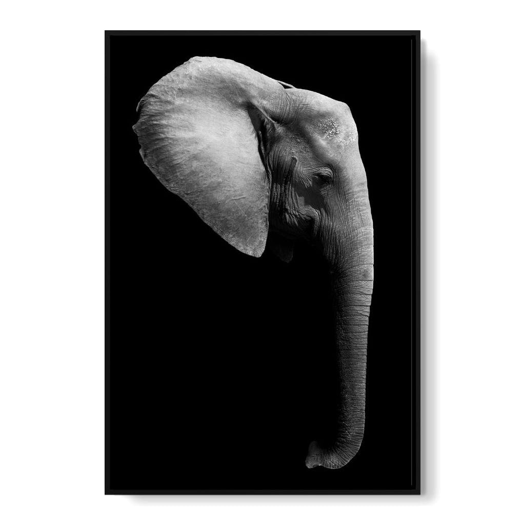 Black and White Elephant Head Canvas Wall Art