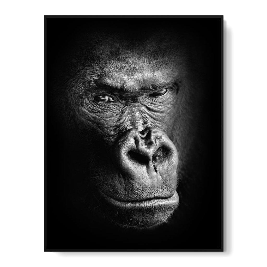 Black and White Gorilla Canvas Wall Art