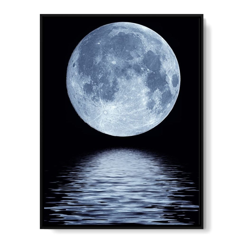 Shadow of The Night Canvas Wall Art