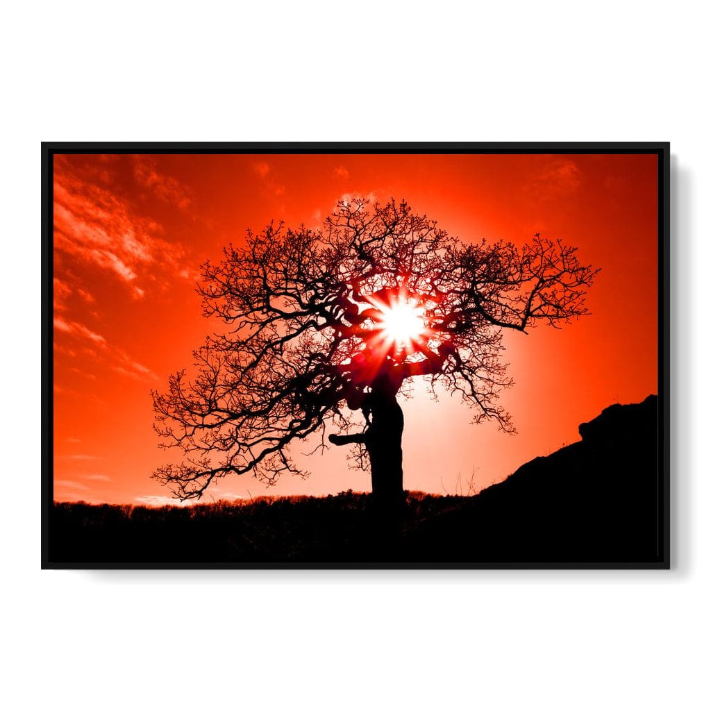 Red Dusk Canvas Wall Art