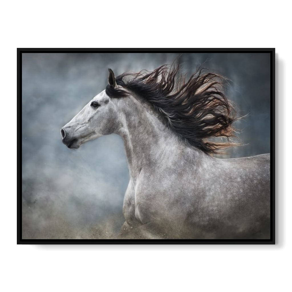 Andalusian Horse Canvas Wall Art