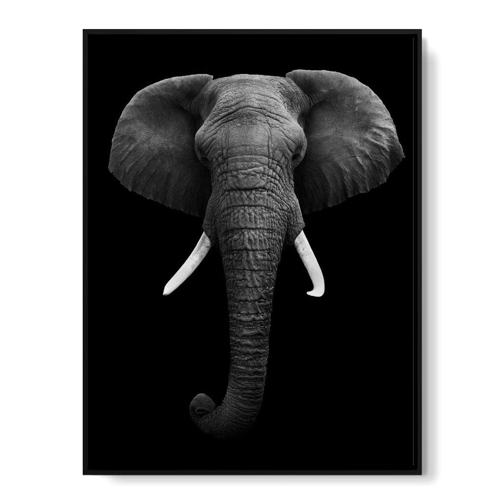 Black and White Elephant Face Canvas Wall Art
