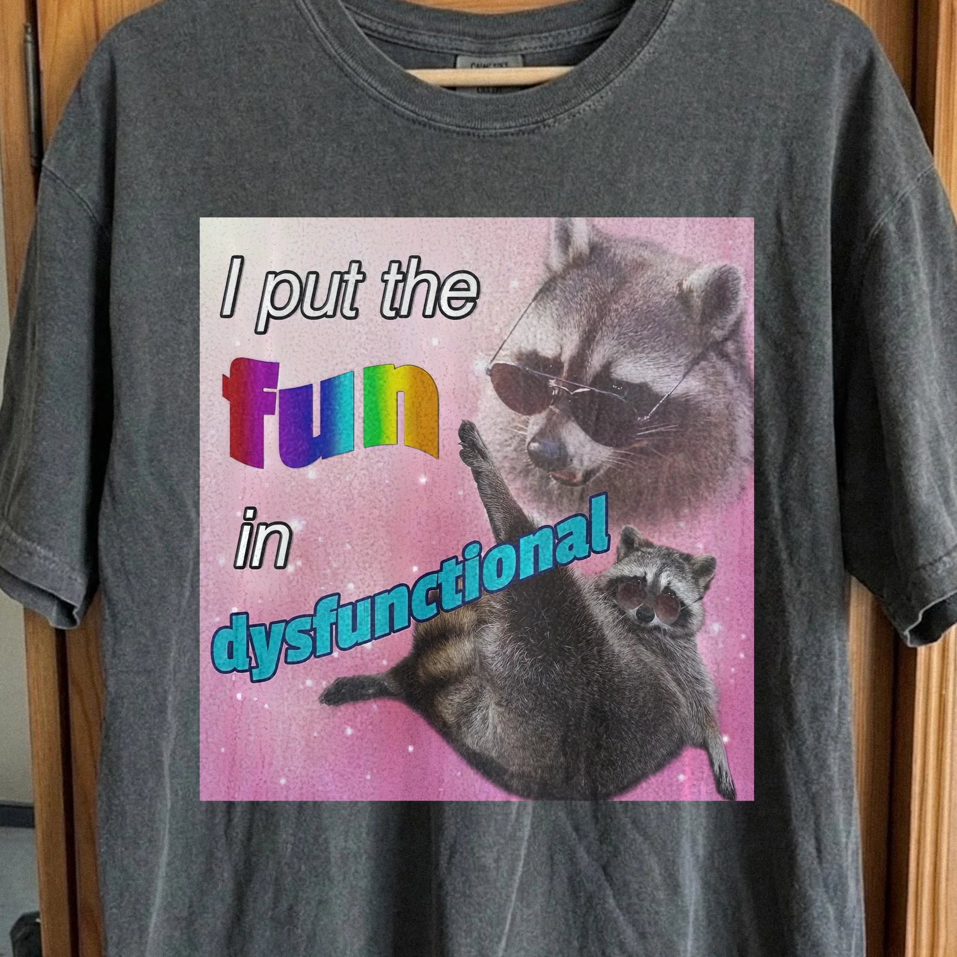 I Put the Fun in Dysfunctional Raccoon T-Shirt, funny meme tee gift