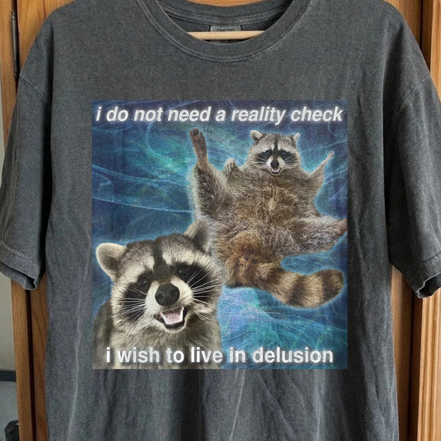 I Do Not Need a Reality Check Raccoon T-Shirt, funny meme tee gift