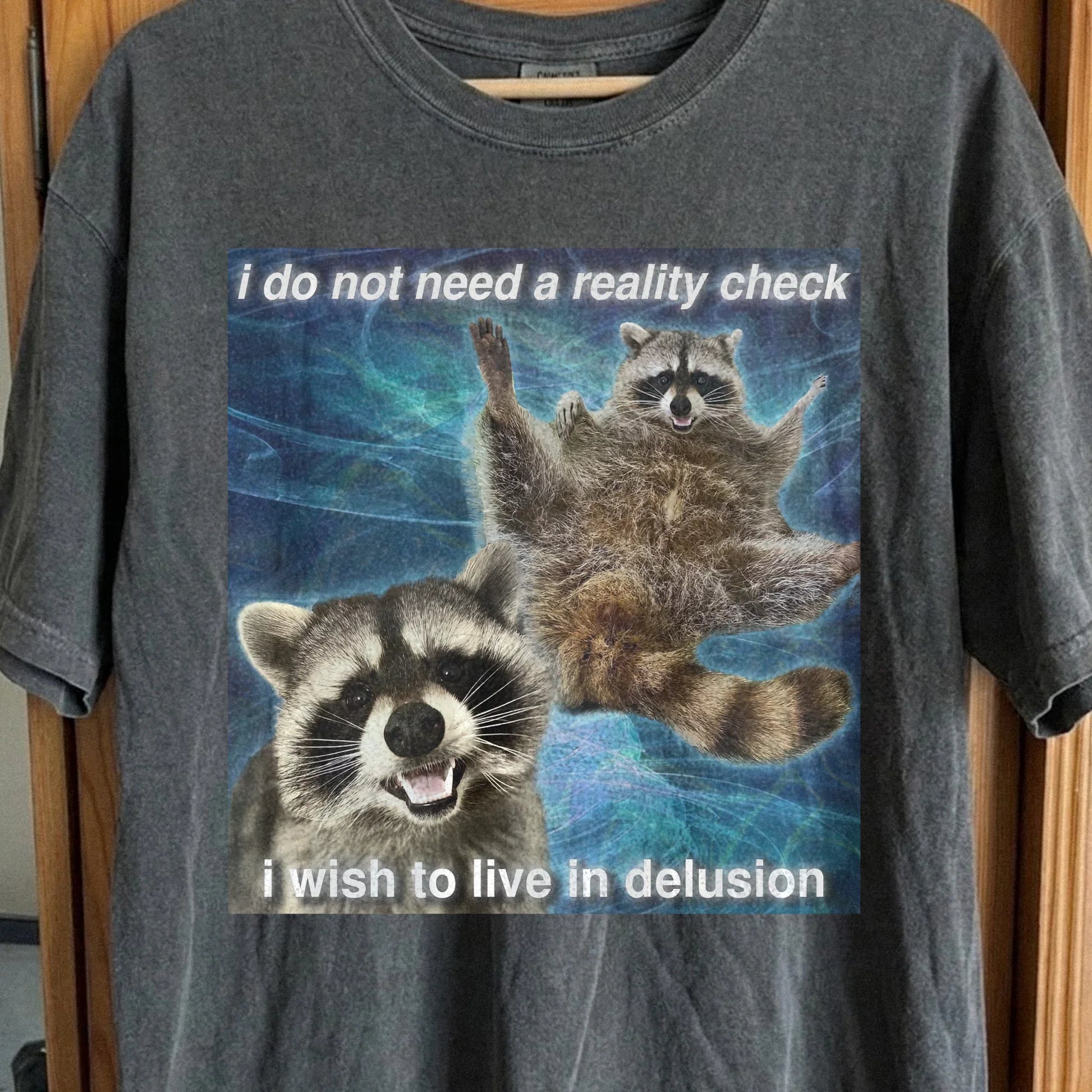 I Do Not Need a Reality Check Raccoon T-Shirt, funny meme tee gift