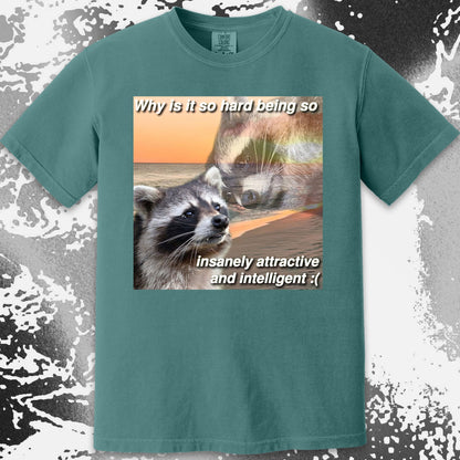 Insanely Attractive and Intelligent Raccoon T-Shirt, funny meme tee gift (view 15)