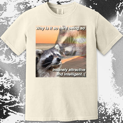 Insanely Attractive and Intelligent Raccoon T-Shirt, funny meme tee gift (view 4)