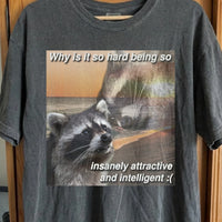 Insanely Attractive and Intelligent Raccoon T-Shirt, funny meme tee gift