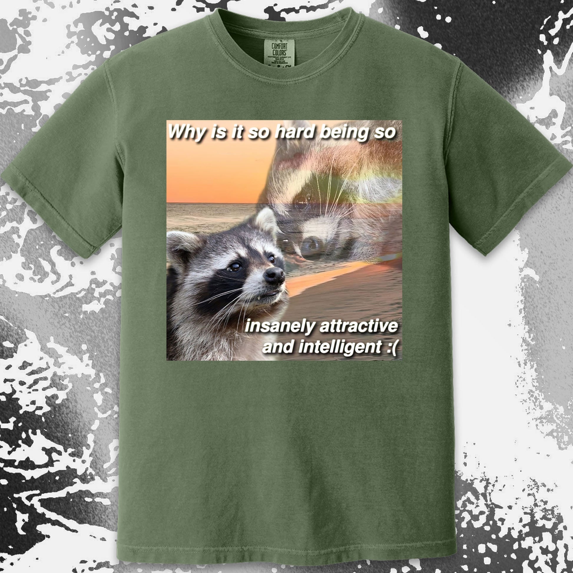 Insanely Attractive and Intelligent Raccoon T-Shirt, funny meme tee gift (view 8)