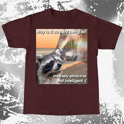 Insanely Attractive and Intelligent Raccoon T-Shirt, funny meme tee gift (view 6)