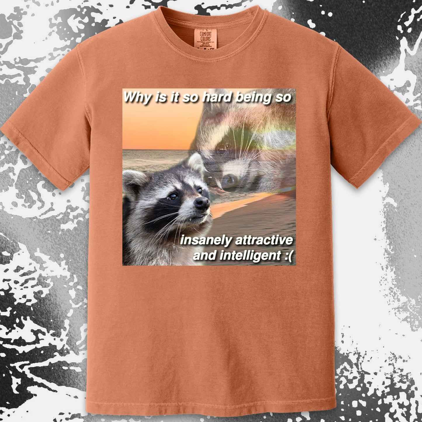 Insanely Attractive and Intelligent Raccoon T-Shirt, funny meme tee gift (view 13)