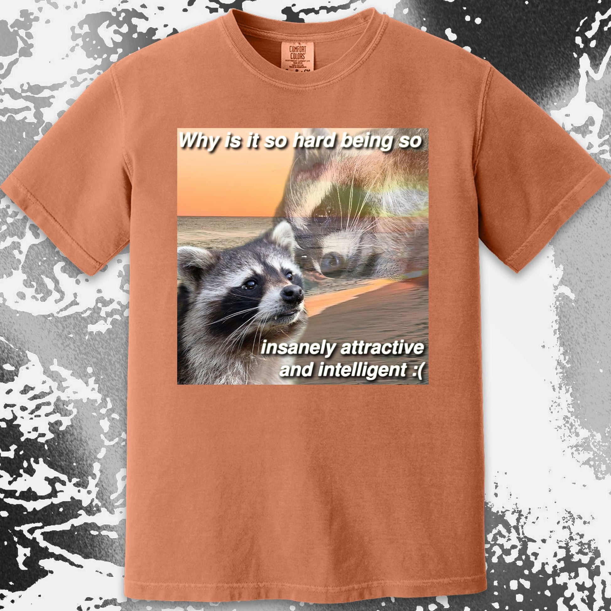 Insanely Attractive and Intelligent Raccoon T-Shirt, funny meme tee gift (view 13)