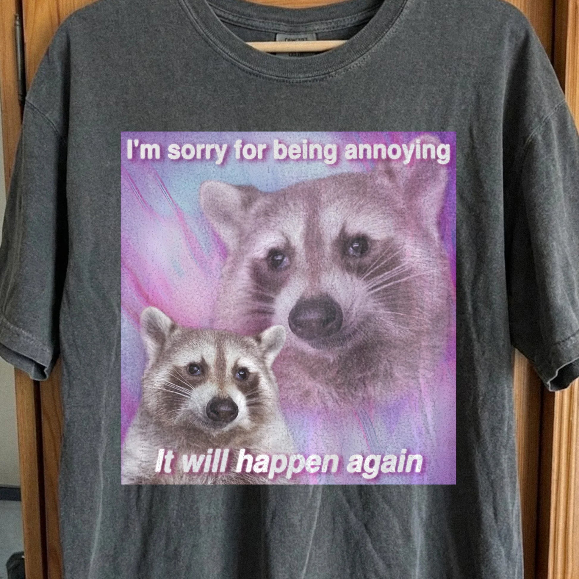 Sorry For Being Annoying Raccoon T-Shirt, funny meme tee gift