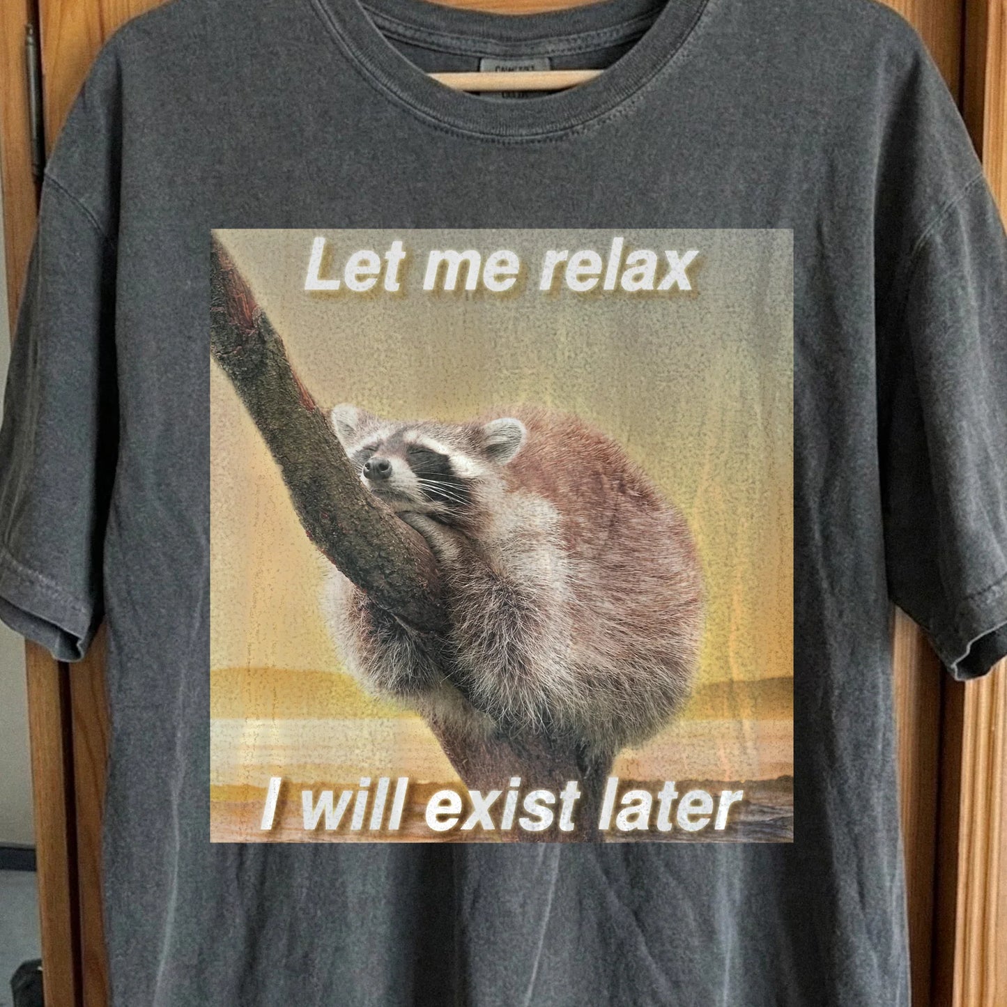 Let Me Relax Raccoon T-Shirt, funny meme tee gift