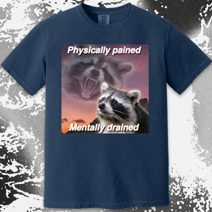 Physically Pained Mentally Drained Raccoon T-Shirt, funny meme tee gift (view 11)