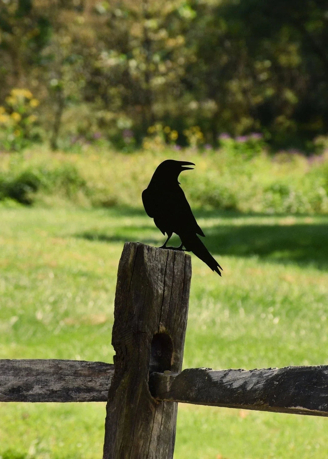 Raven Crow Metal Bird Yard Garden Art - Back View - - Great Gift - 8 inches - metal sign