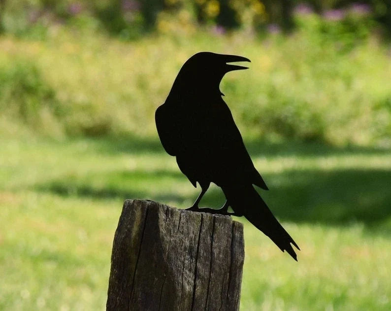 Raven Crow Metal Bird Yard Garden Art - Back View - - Great Gift - 10 inches - metal sign